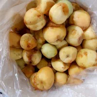 لواشکی زردآلو