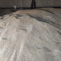 فروش فوری و نقد گندم مرغوب