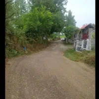 زمین هشتاد متری/قلیپور / کوی حسینی / فخب