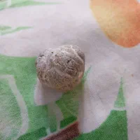 سنگ جالب