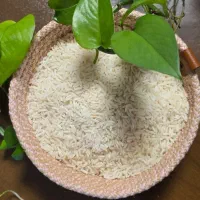 پخش عمده و جزئی حبوبات