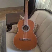 گیتار پارسی M6 نو با جلد