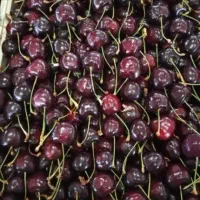 کارگر گیلاس