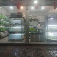 آکواریوم ماهی
