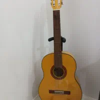 گیتار بنبرگ ۵۴۱