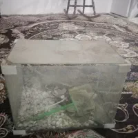 اکواریوم شیشه خم