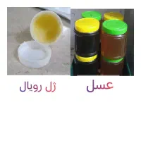 عسل و ژل رویال