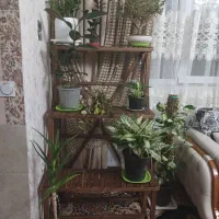 استند گل