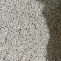 برنج هاشمی لاشه ونیم دانه خانگی