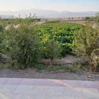 فروش باغ افسریه (گلشیر)