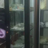 ویترین شیشه ای