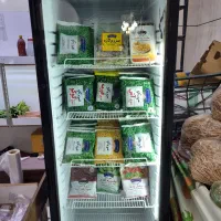 یخچال ایستاده