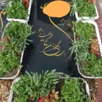کاشت وآبیاری  گل مزارعزیزان خودرابه مابسپارید