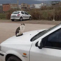 سمند ef7 دوگانه فابریک مدل ۹۹