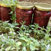 ترشی لیته