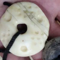 مهره گاوری قدیم