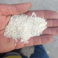 برنج طارم هاشمی