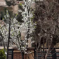 فروش-و-تهاتر-مغازه-87-متری-زیر-قیمت-منطقه