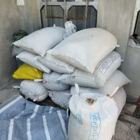 گندم برای دام