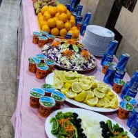 کربلا ویژه ایام فاطمیه قطاری