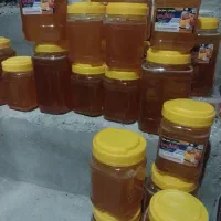 عسل|خوردنی و آشامیدنی|اسکو, |دیوار