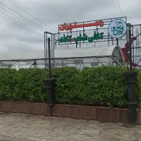 استخدام باریستا و کافه دار