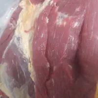 گوشت گوساله گرم