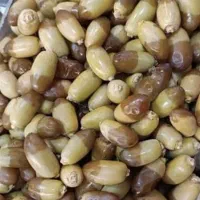 رطب سمبرون
