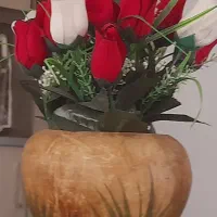 گل نو