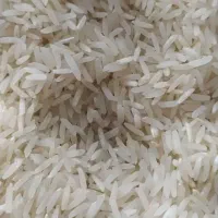 برنج فجر  سوزنی دوبوجاری  پاییزه ( مینودشت )