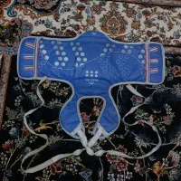 هوگو تکواندو