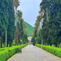 فروش-زمین-420-متری-و-360متری-در-بلوار-کازینو-رامسر