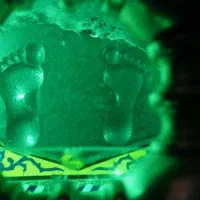 تور1روزه تفریحی زیارتی قدمگاه نیشابور وعطارخیام