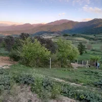 زمین-باغی-روستای-نومل