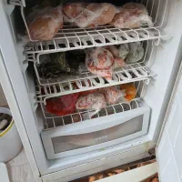 یخچال فریزر خانگی