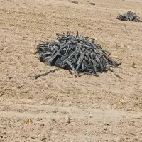 نوار تیپ ضایعات