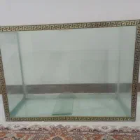 آکواریوم