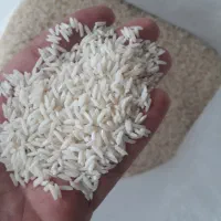 برنج هاشمی بشرط پخت و تضمینی وبرنج محسن ارزان
