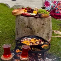 سفارش غذای خانگی