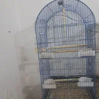 قفس بزرگ