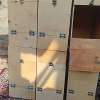 لانه آغول طوطی