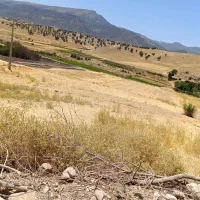 زمین کشاورزی