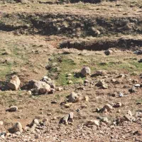 84متر-زمین-مسکونی-بلوار-پرستار-دو-رو-خیابان