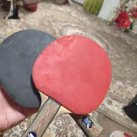 راکت|ورزش‌های توپی|کلاچای, |دیوار