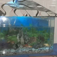 آکواریوم به همراه کامل  وسایلش