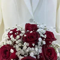 اجاره لاین زیبایی
