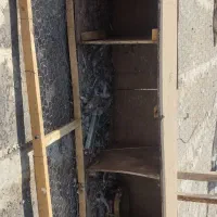 لونه کبوتر