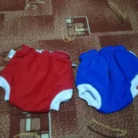 شورت آموزشی