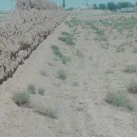 فروش-زمین-زراعی-محصور-در-خسرو-آباد-میمه