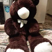 خرس تمیز بزرگ